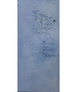 « Toile léthale »